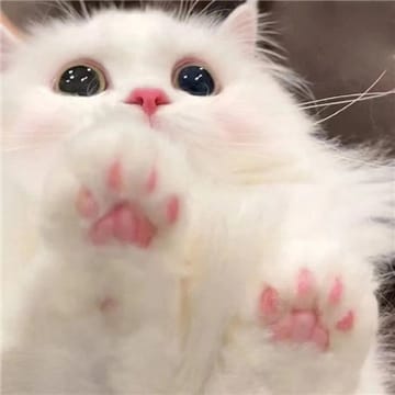 Ảnh đại diện của Đức Minh